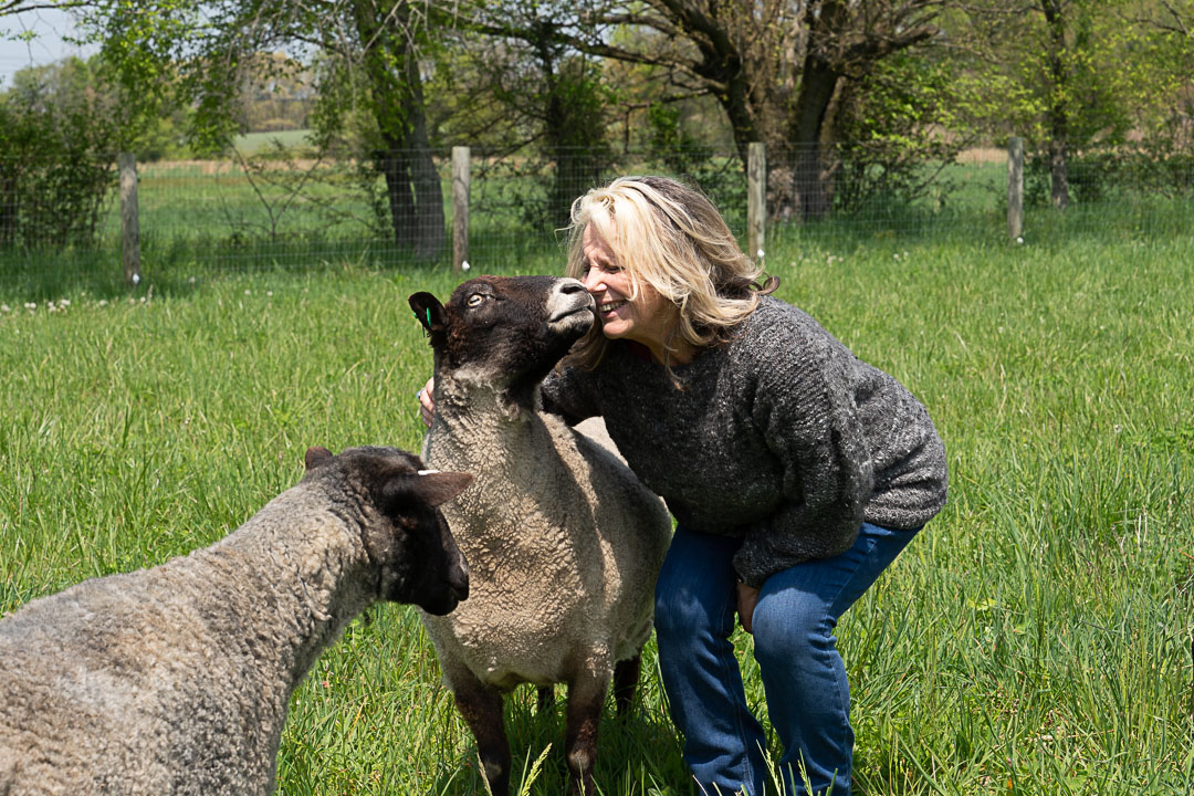 Karen Borga Gosland Sheep