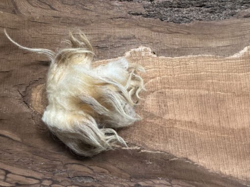 The Churro Fleece
