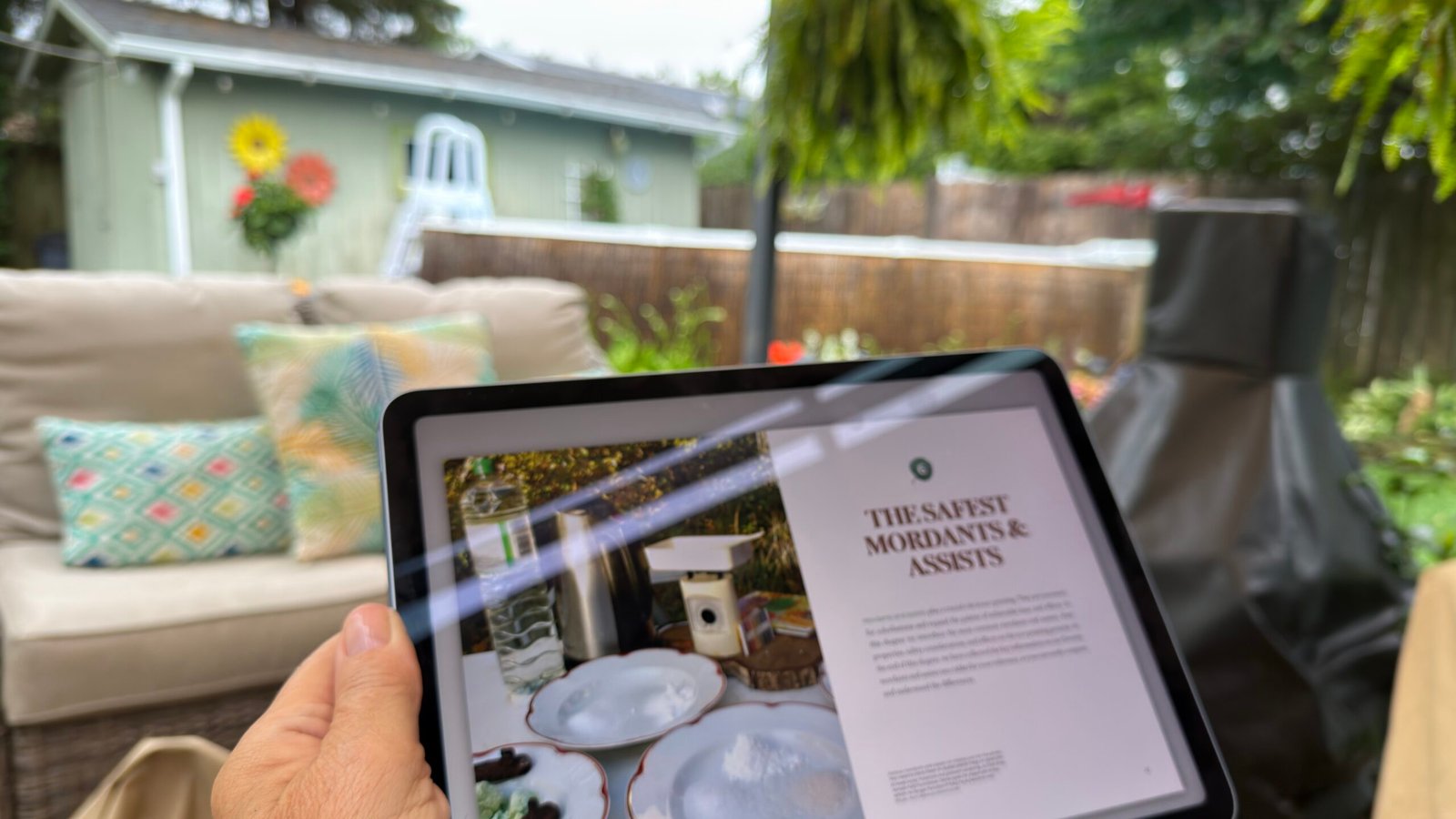 Reading about eco-printing beside the pool on a rainy summer afternoon.