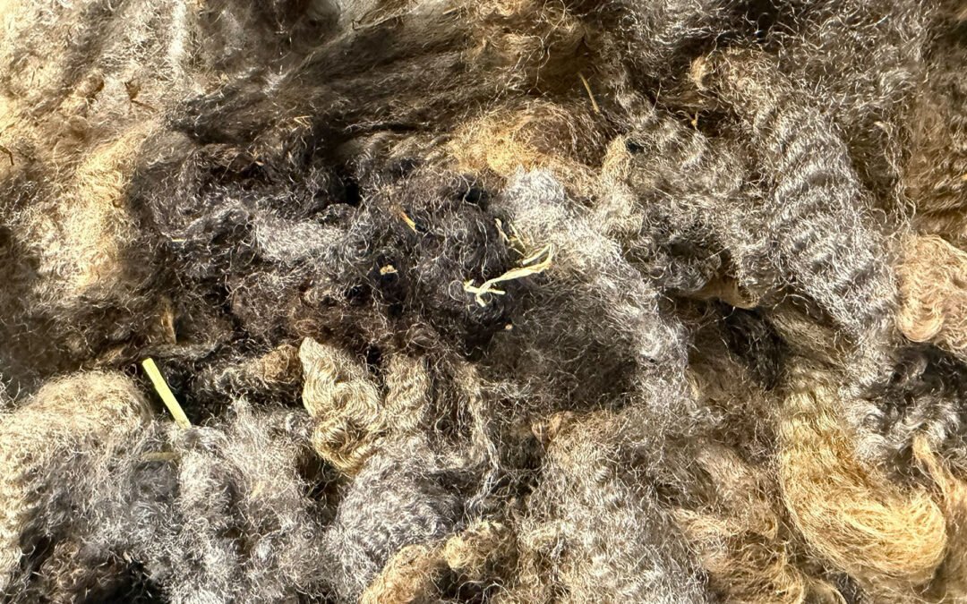 Why Wool Is My Medium