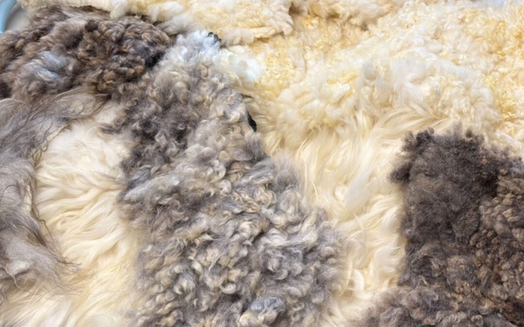 My Palette Begins with Fleece