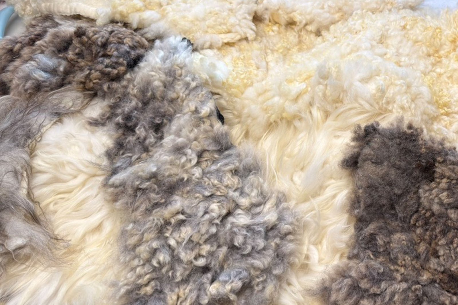 collage of fleeces