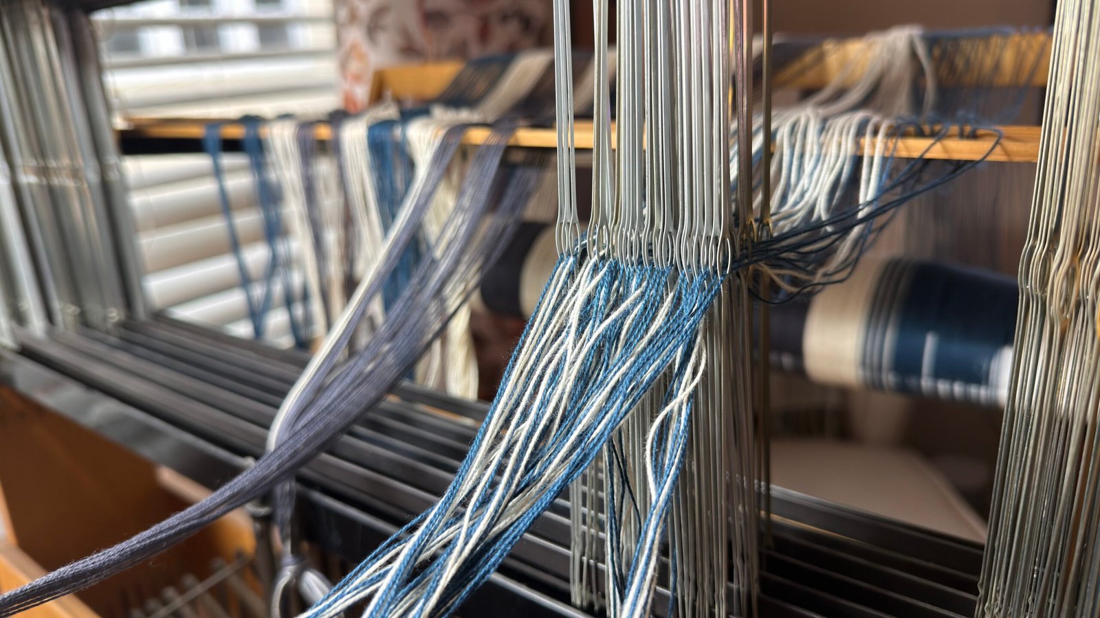 Blue and natural cotton warp threads being threaded through heddles on a floor loom