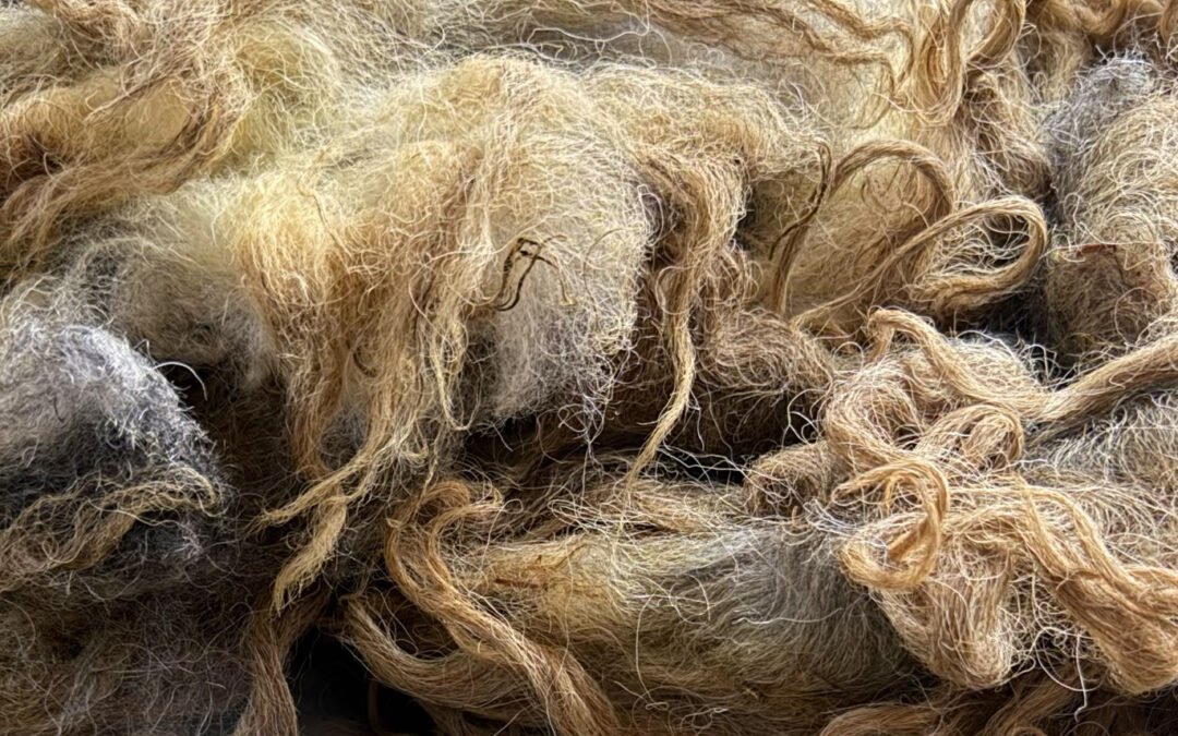 Working With a Jacob Cross Fleece